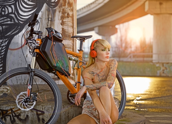 Rahmentasche fürs Fahrrad, Mountainbike, e Bike - BAG V2